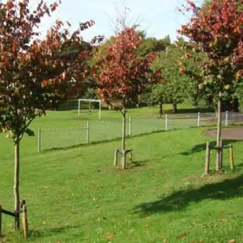 A precedent image for the proposed landscape