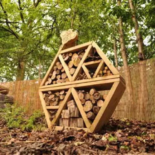 A precedent image for the proposed landscape