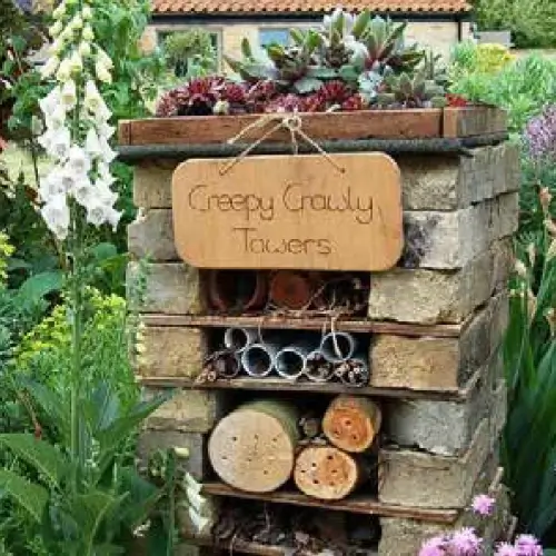 A precedent image for the proposed landscape