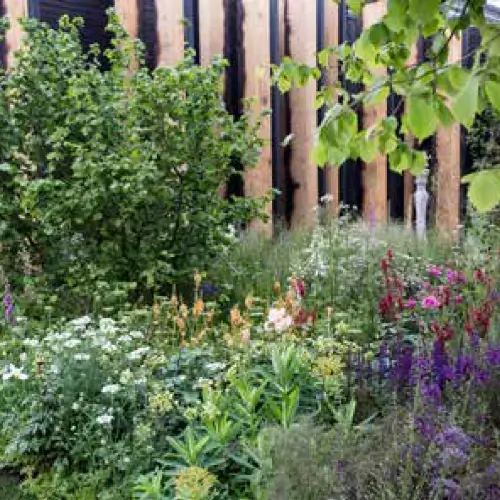 A precedent image for the proposed landscape